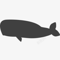 濒危物种濒危鲸鱼vectortown濒危物种高清图片