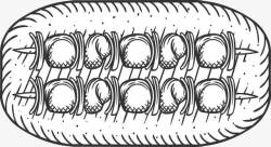 诱人串烧丸子素材