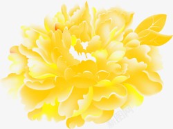 芬芳娇媚的黄色花朵素材