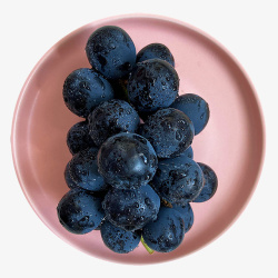 鲜蓝莓黑丝蓝莓蓝莓粒蓝莓子高清图片