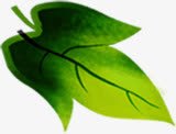 创意合成质感树叶效果png免抠素材_新图网 https://ixintu.com 创意 合成 效果 树叶 质感