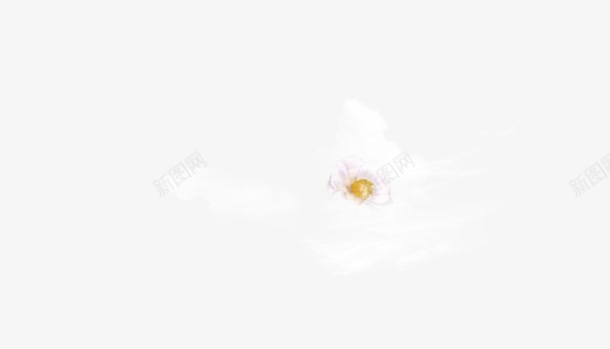 白色朦胧花朵创意png免抠素材_新图网 https://ixintu.com 创意 朦胧 白色 花朵