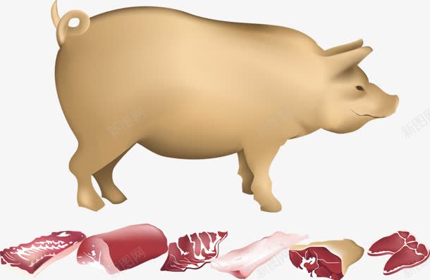 猪与猪肉png免抠素材_新图网 https://ixintu.com 动物 猪 肉 食物