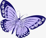 紫色蝴蝶创意广告png免抠素材_新图网 https://ixintu.com 创意 图片 广告 紫色 蝴蝶