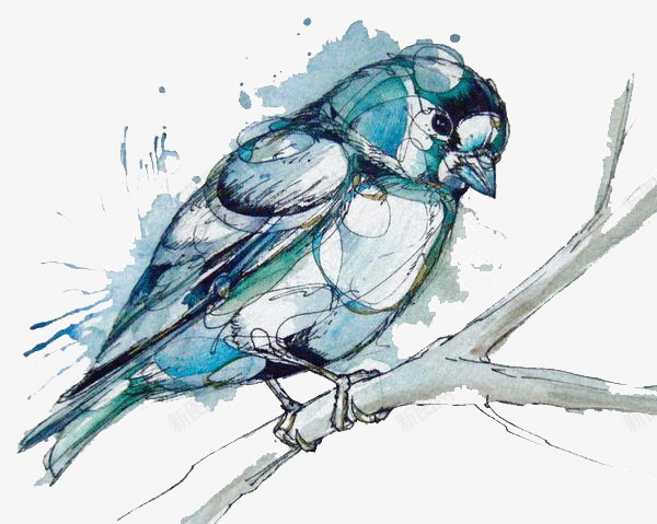 创意小鸟水彩画艺术png免抠素材_新图网 https://ixintu.com 创意 动物 彩绘 彩色 手绘 水彩画 鸟