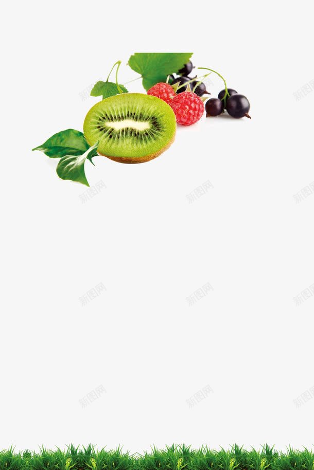 营养水果png免抠素材_新图网 https://ixintu.com 树莓 水果 营养