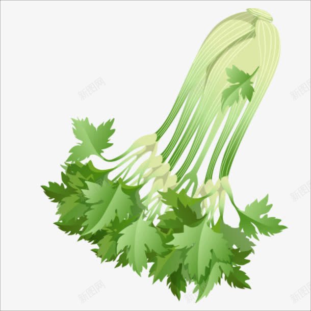 小菜png免抠素材_新图网 https://ixintu.com 植物 蔬菜