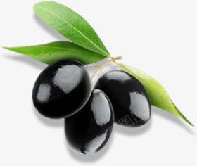 黑橄榄装饰png免抠素材_新图网 https://ixintu.com 水果 食材 食物 黑橄榄