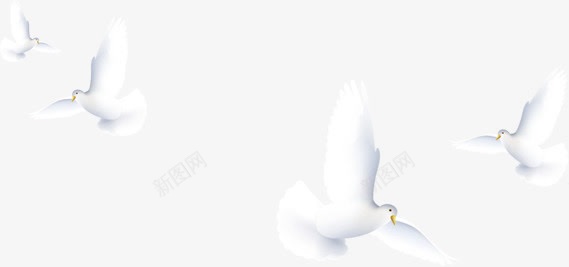 手绘白色和平鸽装饰png免抠素材_新图网 https://ixintu.com 和平鸽 白色 装饰