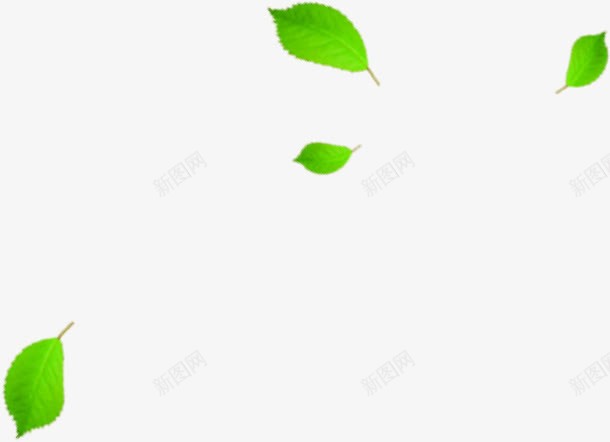 绿色烂漫树叶装饰手绘png免抠素材_新图网 https://ixintu.com 树叶 烂漫 绿色 装饰