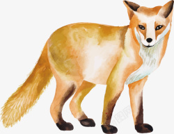 暖冬狐狸手绘水彩狐狸矢量图高清图片