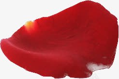 合成创意效果红色的花瓣png免抠素材_新图网 https://ixintu.com 创意 合成 效果 红色 花瓣