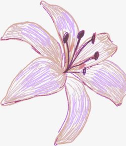 紫色插画夏日海报花朵素材