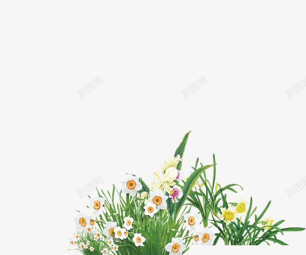 白色小花花朵花丛png免抠素材_新图网 https://ixintu.com 白色 白色花朵 花丛 花朵