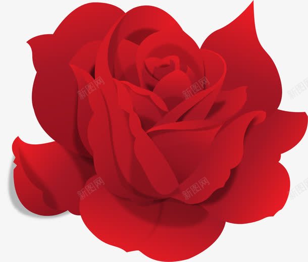 玫瑰花瓣png免抠素材_新图网 https://ixintu.com 卡通玫瑰 扁平 扁平玫瑰 手绘玫瑰 玫瑰 花瓣