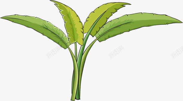 绿色叶子png免抠素材_新图网 https://ixintu.com 手绘 植物 绿色 芭蕉叶子