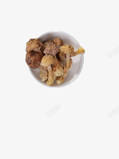 野菌菇产品实物png免抠素材_新图网 https://ixintu.com 产品实物 菇 菌类