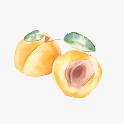 手绘桃子素材