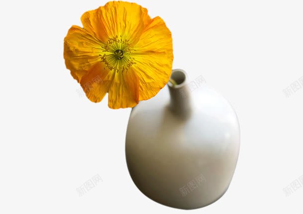 素雅插花png免抠素材_新图网 https://ixintu.com 插花 素雅 花卉 花朵 花瓶 黄色