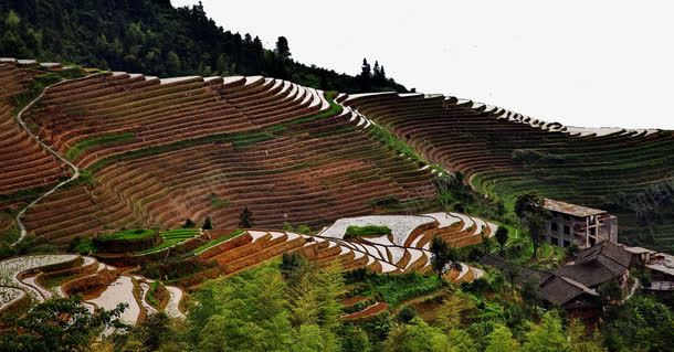 龙脊梯田平安寨二png免抠素材_新图网 https://ixintu.com 名胜古迹 旅游风景 著名建筑