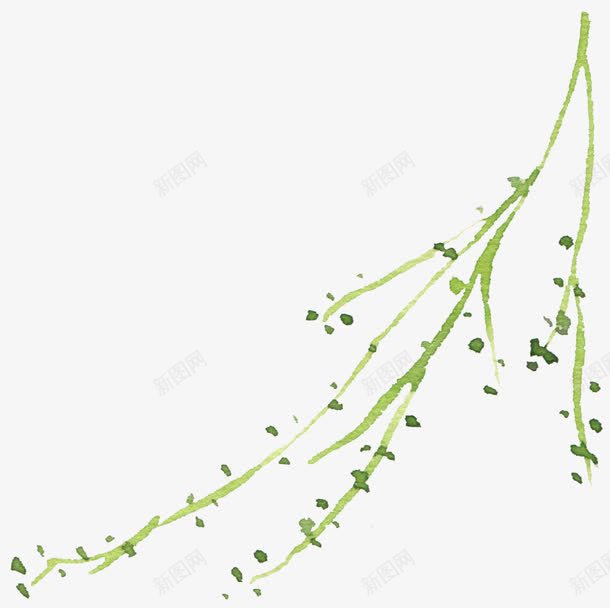 水彩枝条png免抠素材_新图网 https://ixintu.com 彩色 植物 毛笔画 绿色