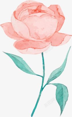 精美手绘粉色玫瑰矢量图素材