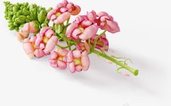 粉色花朵绿小花素材