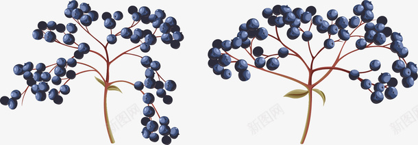 手绘水彩紫色果实png免抠素材_新图网 https://ixintu.com 手绘 手绘果实 果子 果实 水彩 水彩果实 紫色果实