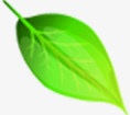 创意合成手绘绿色的树叶落下png免抠素材_新图网 https://ixintu.com 创意 合成 树叶 绿色