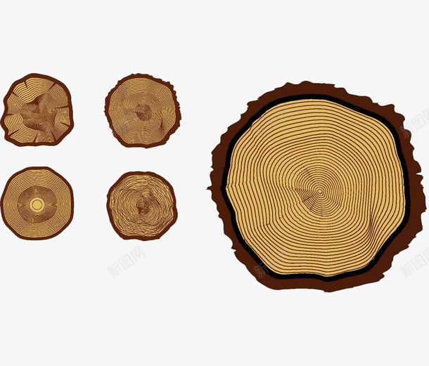 手绘棕色树桩png免抠素材_新图网 https://ixintu.com 年轮 手绘 树 树木 树轮 树龄 纹理