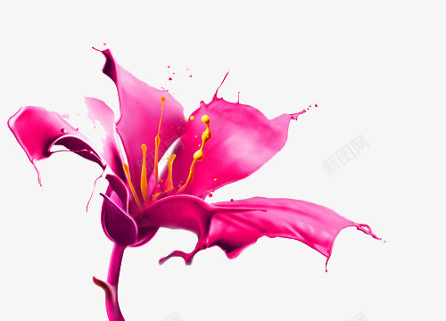 粉红色图案psd免抠素材_新图网 https://ixintu.com 图案 粉红色 花朵