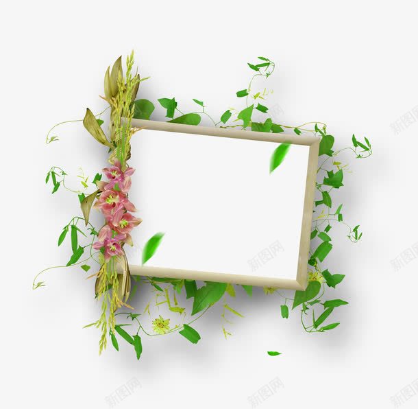 植物边框图案png免抠素材_新图网 https://ixintu.com PNG图片 树叶 植物 绿叶 边框元素 边框图案