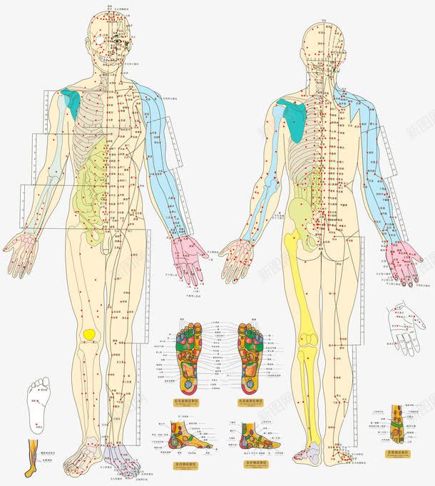 网页PPT元素png免抠素材_新图网 https://ixintu.com 幻灯片 标签 段落分隔 网页PPT元素 边框