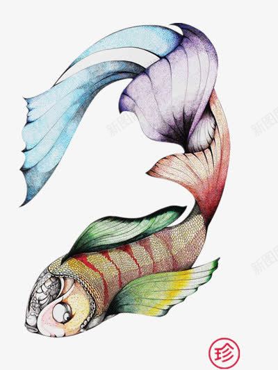大鱼png免抠素材_新图网 https://ixintu.com 大鱼 彩色 插画 装饰