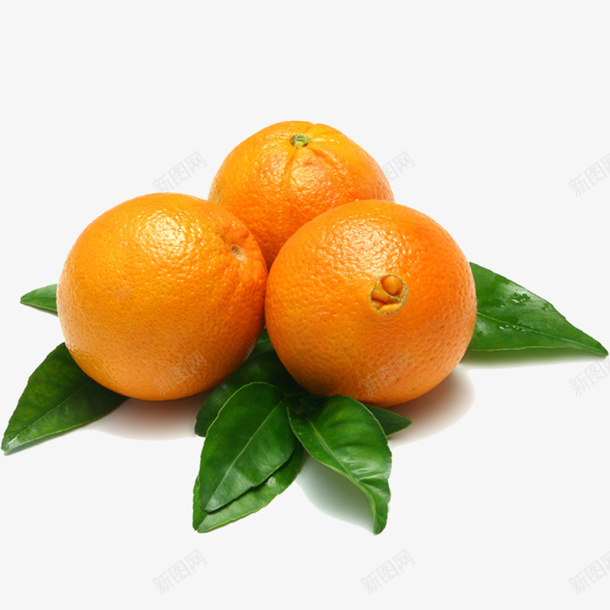 黄色橙子png免抠素材_新图网 https://ixintu.com 三个橙子 叶子 水果 黄色