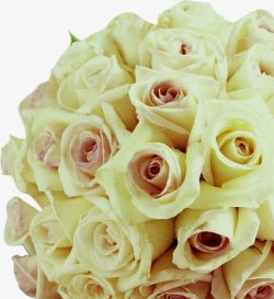 白色简约婚礼花朵素材