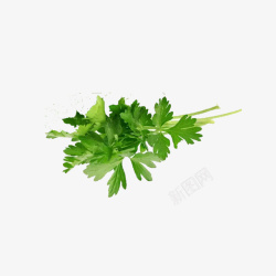 芹菜叶绿色素材