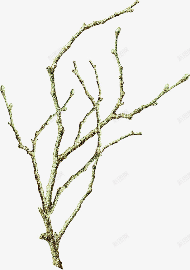 泛白的树枝png免抠素材_新图网 https://ixintu.com 布景装饰元素 泛白的树枝