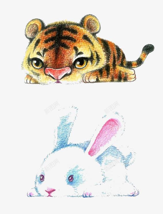 彩铅动物png免抠素材_新图网 https://ixintu.com 动物 卡通 彩铅 手绘 装饰