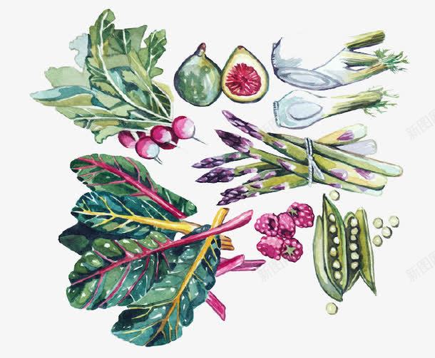 卡通营养蔬菜png免抠素材_新图网 https://ixintu.com 植物 蔬菜 豌豆 食材