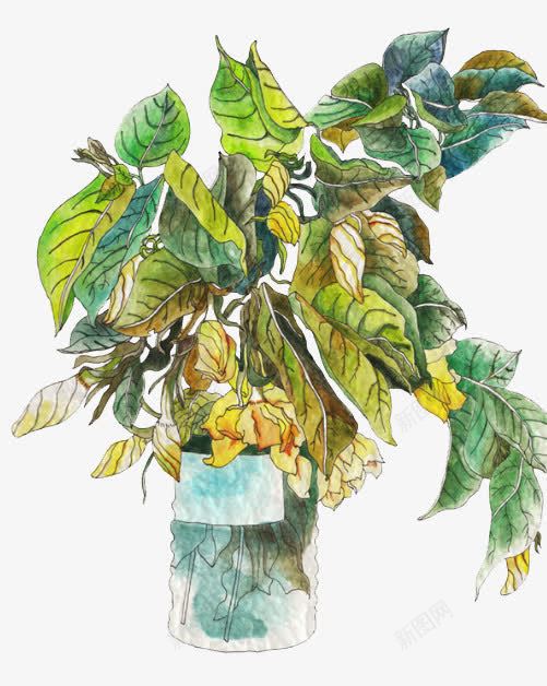 手绘栀子花png免抠素材_新图网 https://ixintu.com 免扣 手绘 手绘栀子花 插画 栀子花 植物 绿色 装饰