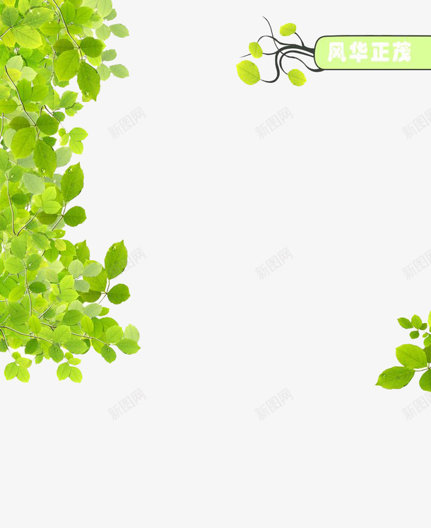 绿色树叶春背景png免抠素材_新图网 https://ixintu.com 树叶背景 绿色树叶 绿色背景