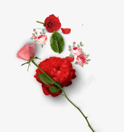 玫瑰花情人节装饰素材