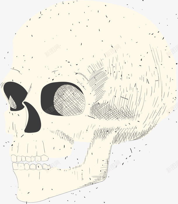 骷髅头矢量图eps免抠素材_新图网 https://ixintu.com 矢量图形 矢量骷髅 矢量骷髅头 骷髅 骷髅头 骷髅头设计 矢量图
