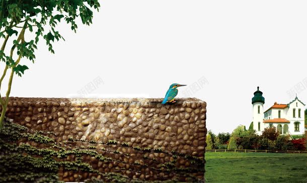 孤独的鸟png免抠素材_新图网 https://ixintu.com 墙 孤独 建筑 房子 树 鸟