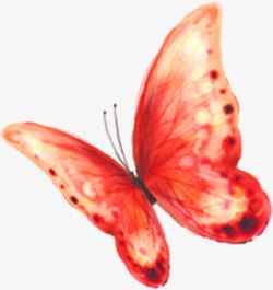 创意手绘水彩红色的蝴蝶素材