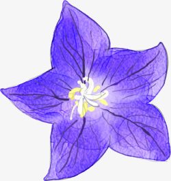 紫色唯美手绘花朵卡通素材