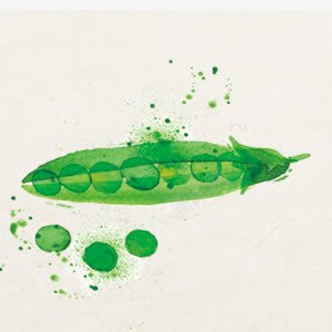 绿色豆角植物png免抠素材_新图网 https://ixintu.com 新鲜 植物 绿色 蔬菜 豆角