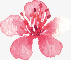 花卉羽毛花纹油画花朵花卉矢量图高清图片