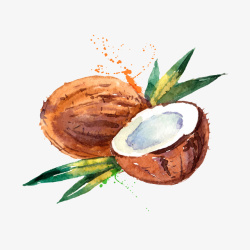 手绘水彩椰子素材